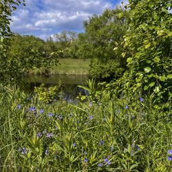 Similar image 22072624