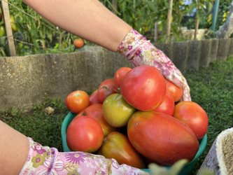 Similar image 22072625