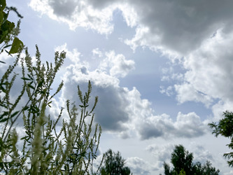 Similar image 22073763