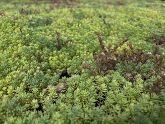 Similar image 22073897