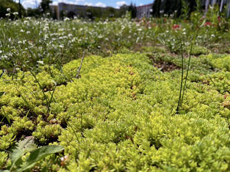 Similar image 22073898