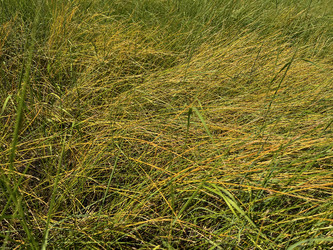 Similar image 22073901