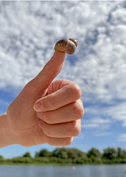 Similar image 22073908