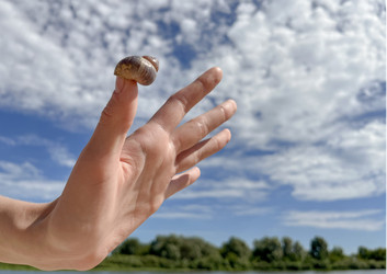 Similar image 22073912