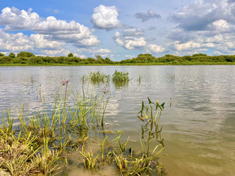 Similar image 22073918