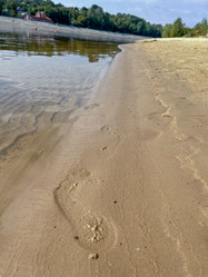 Similar image 22073920