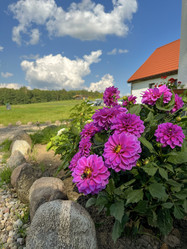 Similar image 22073922