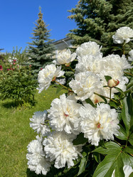 Similar image 22073923