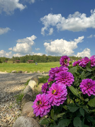 Similar image 22073924