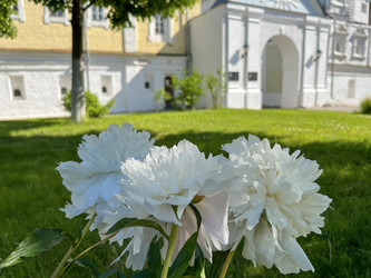 Similar image 22073930