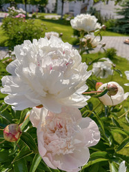 Similar image 22073932