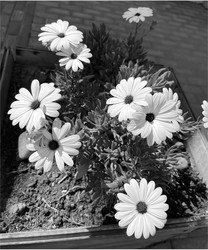 Similar image 22073933