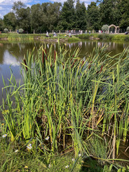 Similar image 22074067