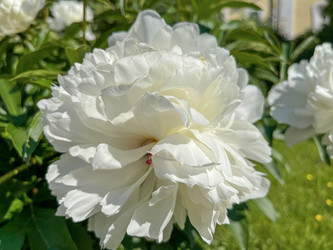 Similar image 22074069