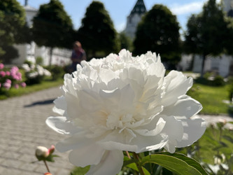 Similar image 22074072