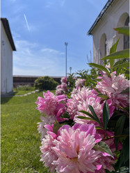 Similar image 22072072