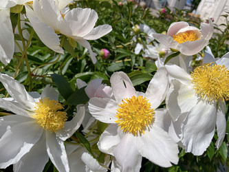 Similar image 22072073