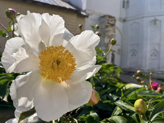 Similar image 22072074