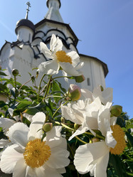 Similar image 22072075