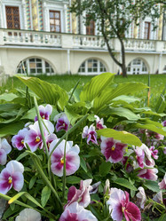 Similar image 22072217