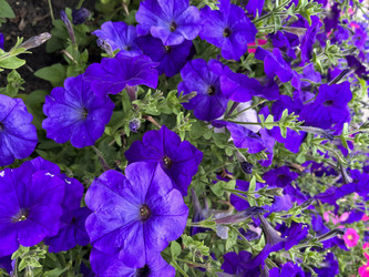 Similar image 22072218