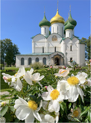 Similar image 22072219