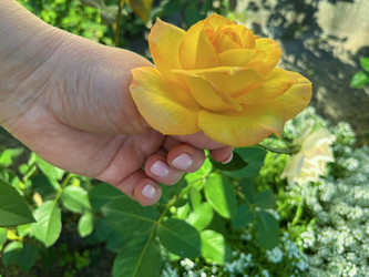 Similar image 22072221