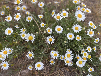 Similar image 22072364