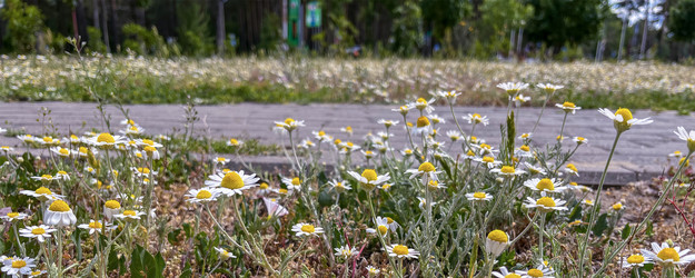 Similar image 22072366