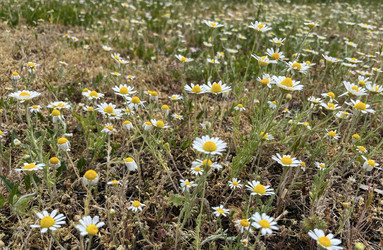 Similar image 22072368