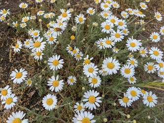 Similar image 22072370