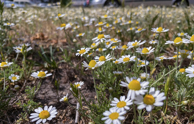 Similar image 22072371