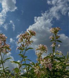 Similar image 22072372