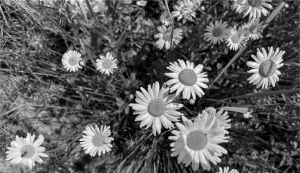 Similar image 22072373