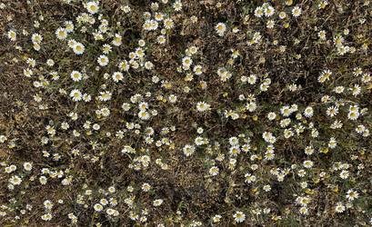 Similar image 22072374