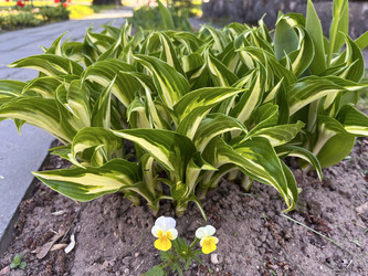 Similar image 22072375