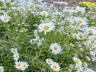 Similar image 22072377