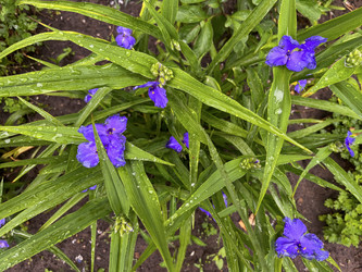 Similar image 22072381