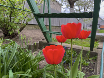 Similar image 22072385