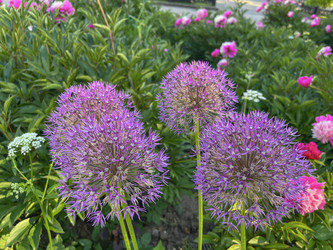 Similar image 22072627