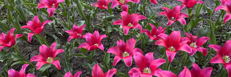 Similar image 22072629