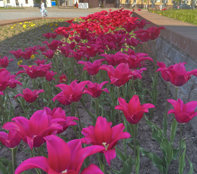 Similar image 22072633