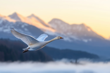 Similar image 22074145