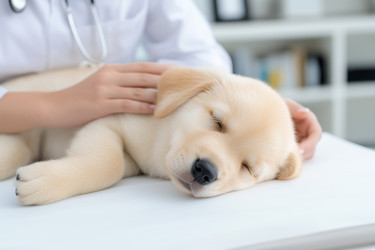 Similar image 22074150