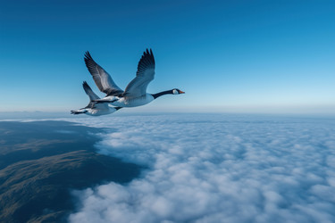 Similar image 22074175