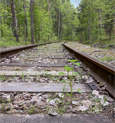 Similar image 22074074