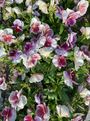 Similar image 22074076