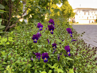 Similar image 22070080