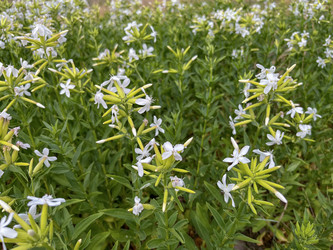 Similar image 22070097