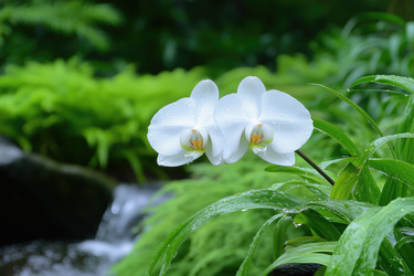 Similar image 22087171